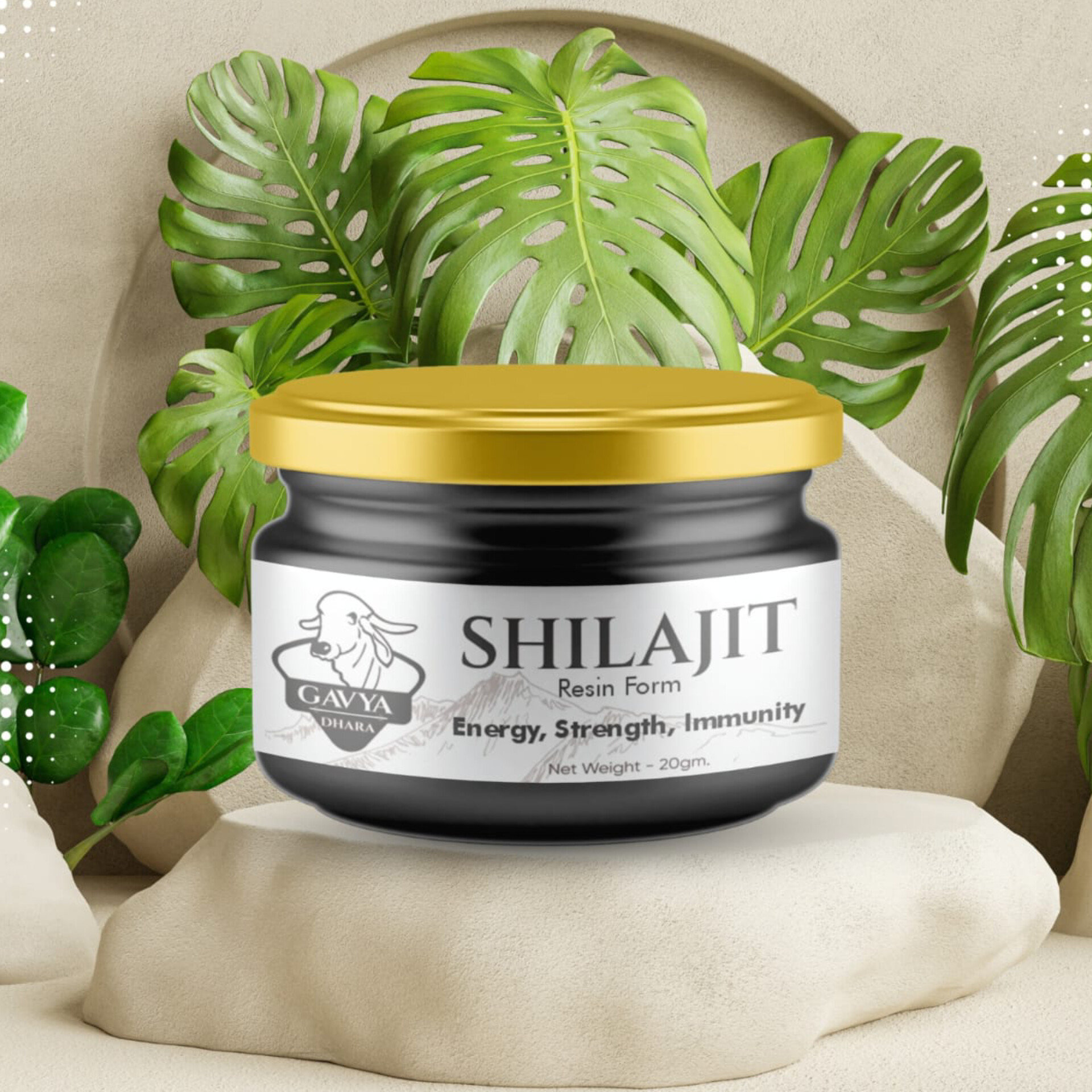 GAVYADHARA SHILAJIT (RESIN FORM) शिलाजीत - 20gm