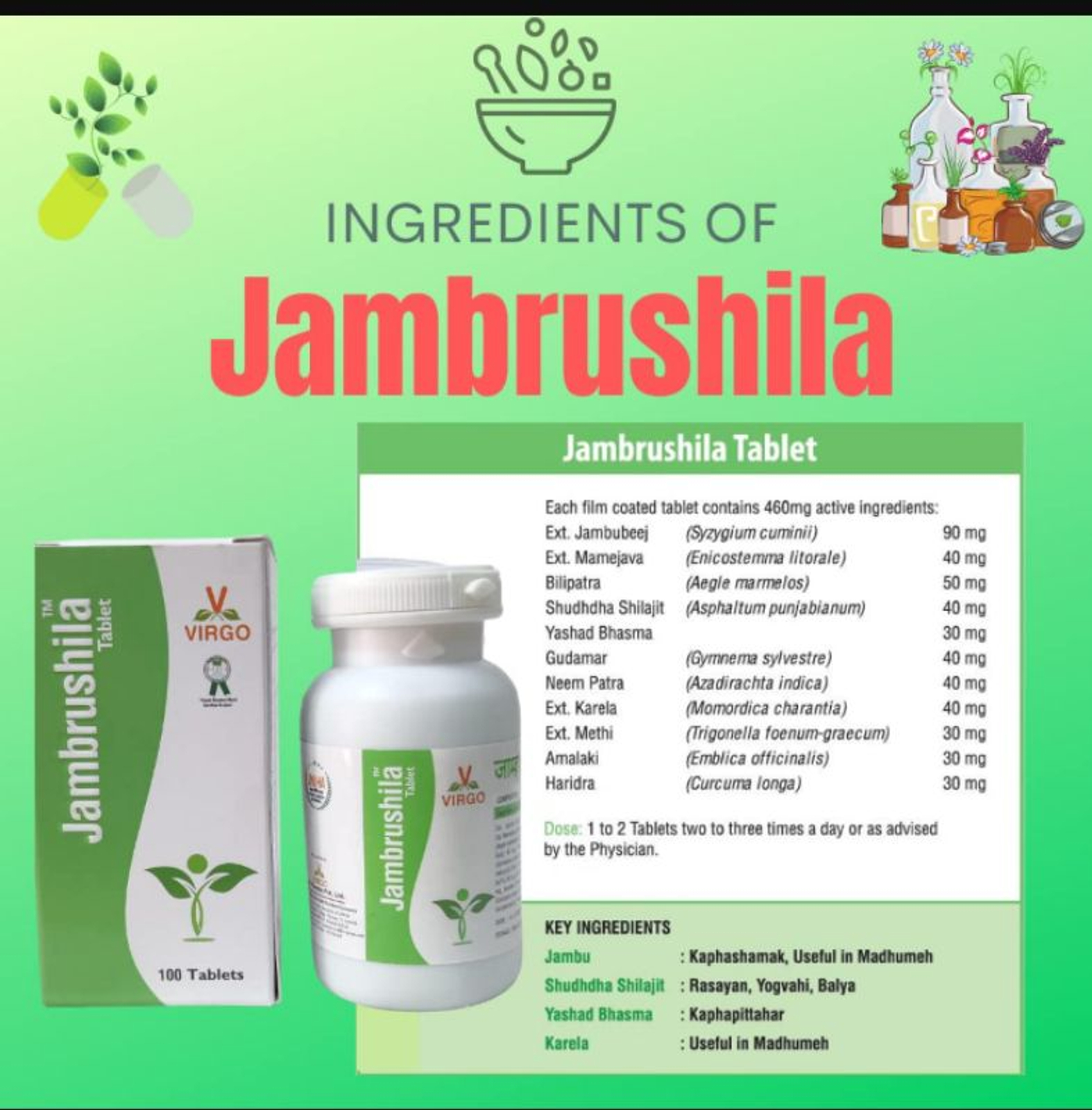 VIRGO UAP PHARMA JAMBRUSHILA जांब्रूशिला - 100 Tablet