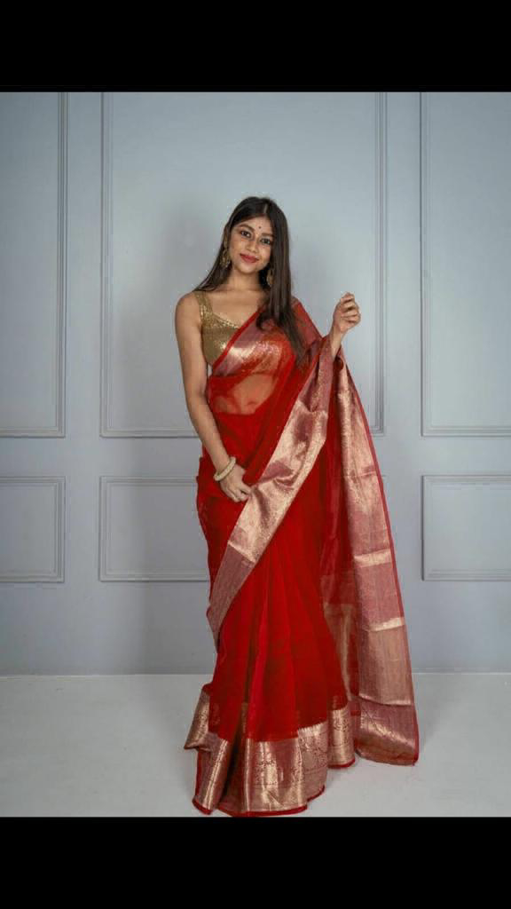 Beautiful Organza Work GARI WORL SAREE - Red