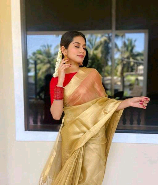 Beautiful Banarasi Tissue Saree - Gold