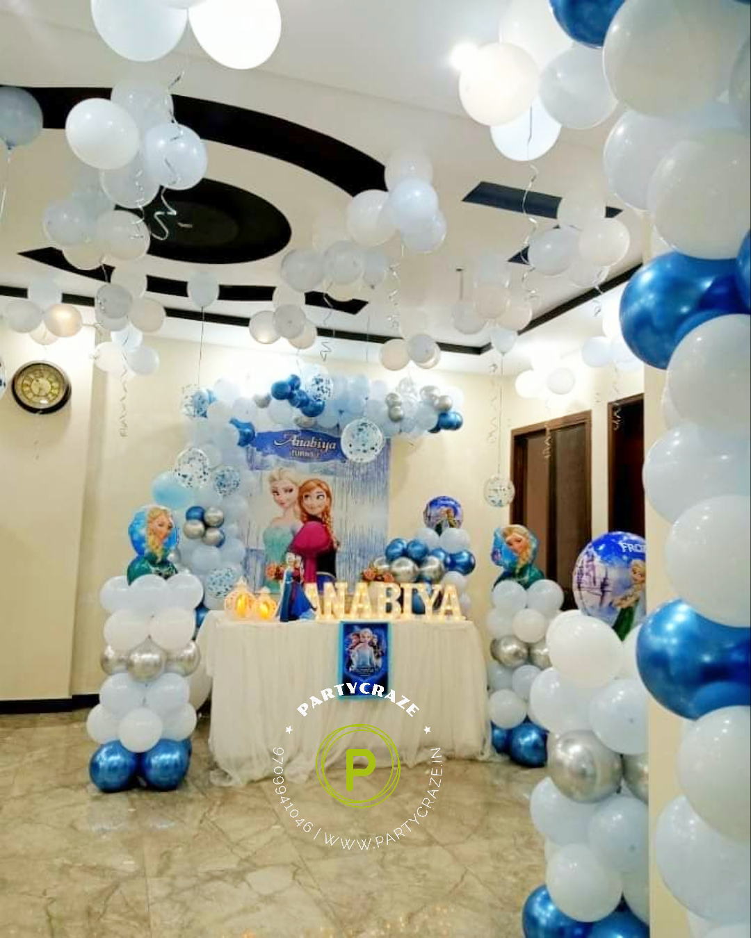 Frozen Theme  Kids Birthday Decor 145