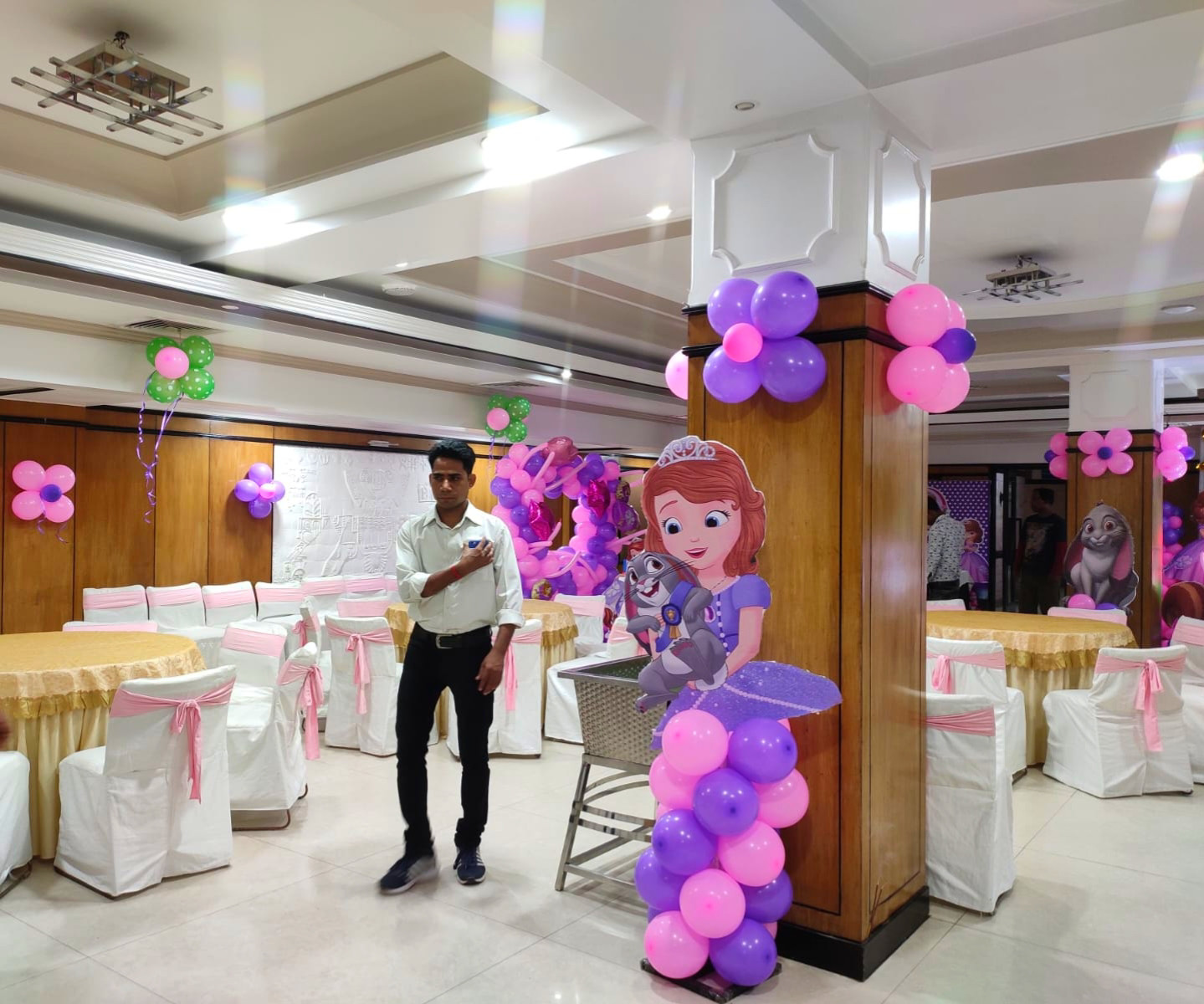 Sofia The Princess Theme 