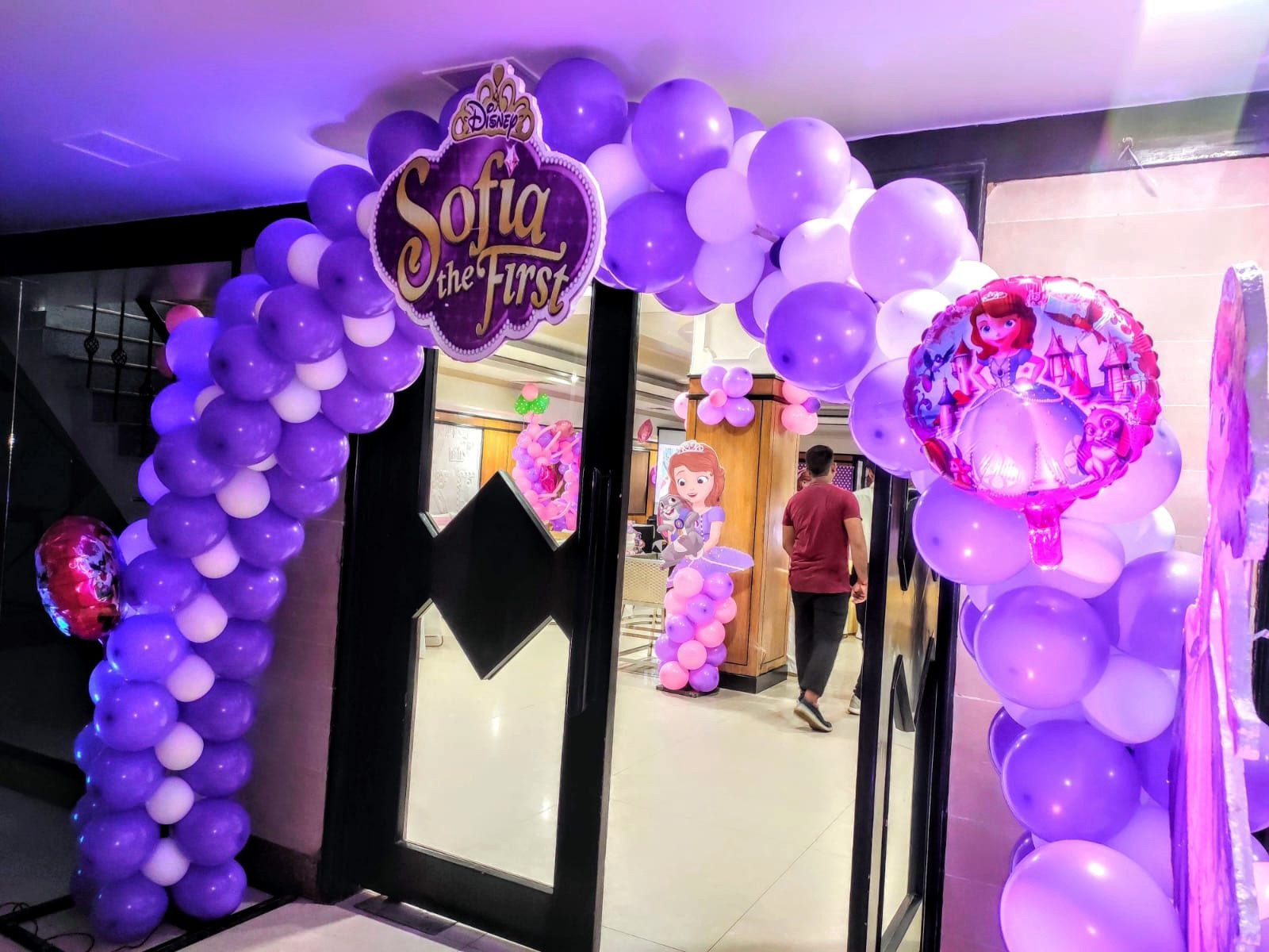 Sofia The Princess Theme 