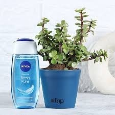 Nivea Fresh Pure Mini Shower Gel
