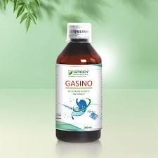 Green Remedies Gasino Syrup 200ml
