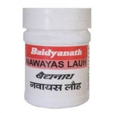 Baidyanath Navyas Loha 40 Tablets 