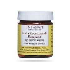 S N Pandit Kooshmanda Rasayanam 400g