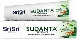 Sri Sri Ayureda Sudanta Paste 100gm