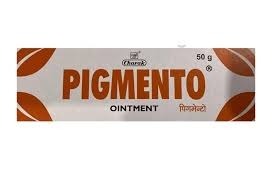 Charak Pigmento 50g 