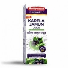 Baidyanath Karela Jamun Juice 1Ltr