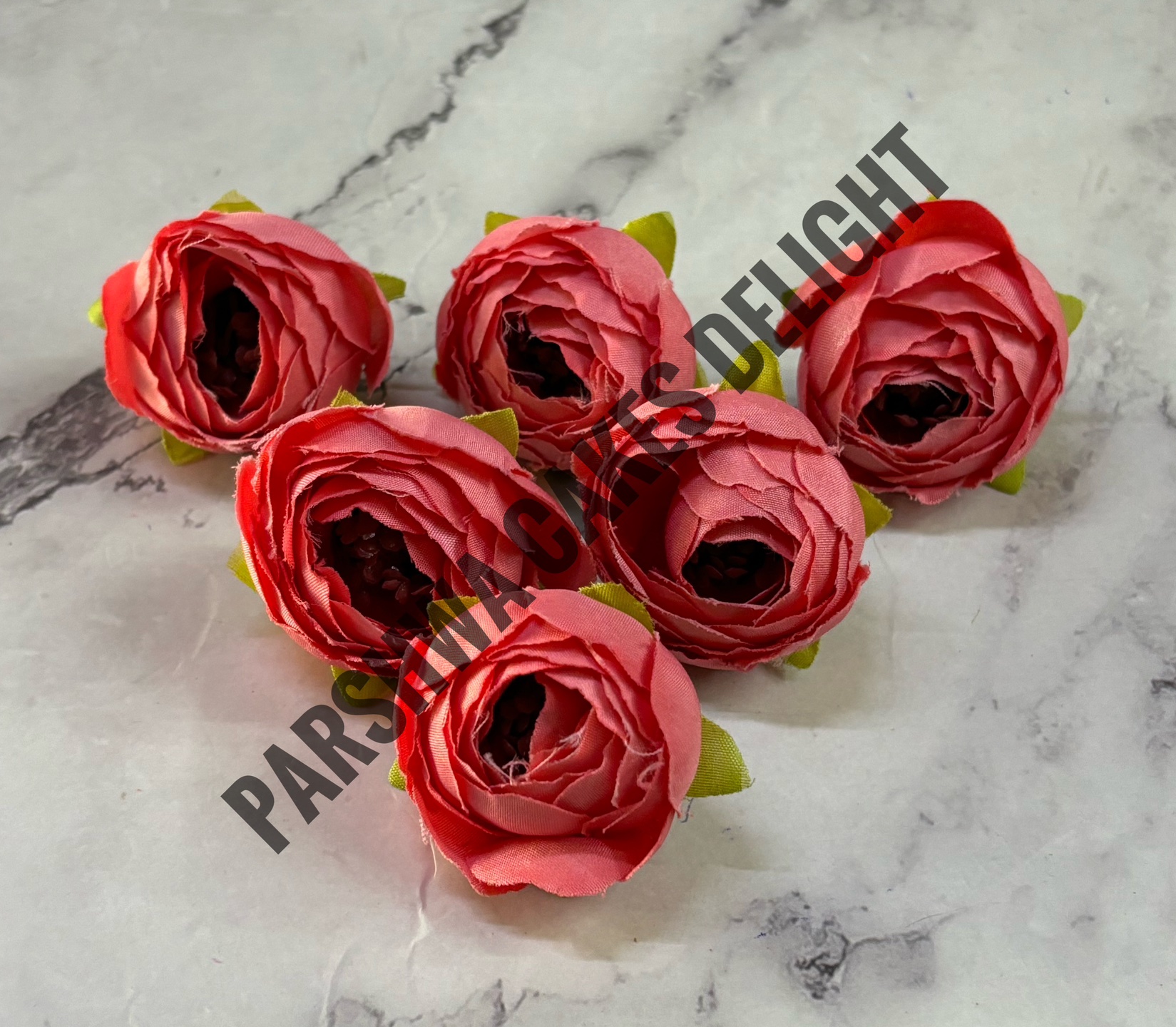 SMALL PEONY  - DELIGHT 145, 6 PCS