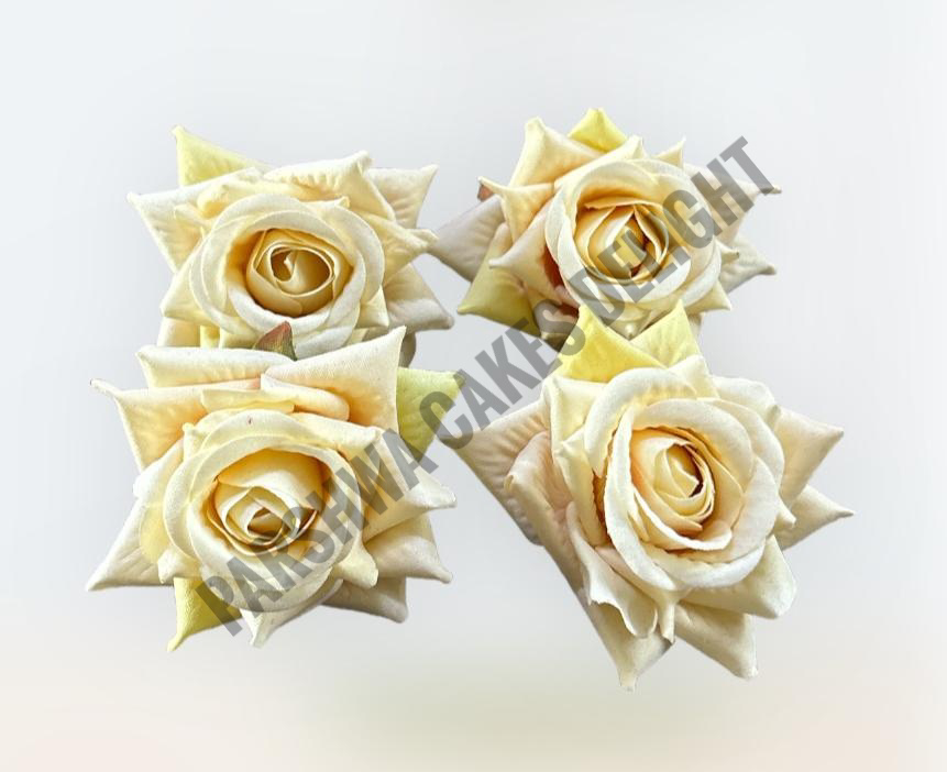 ROSES - DELIGHT 245, 4 PCS