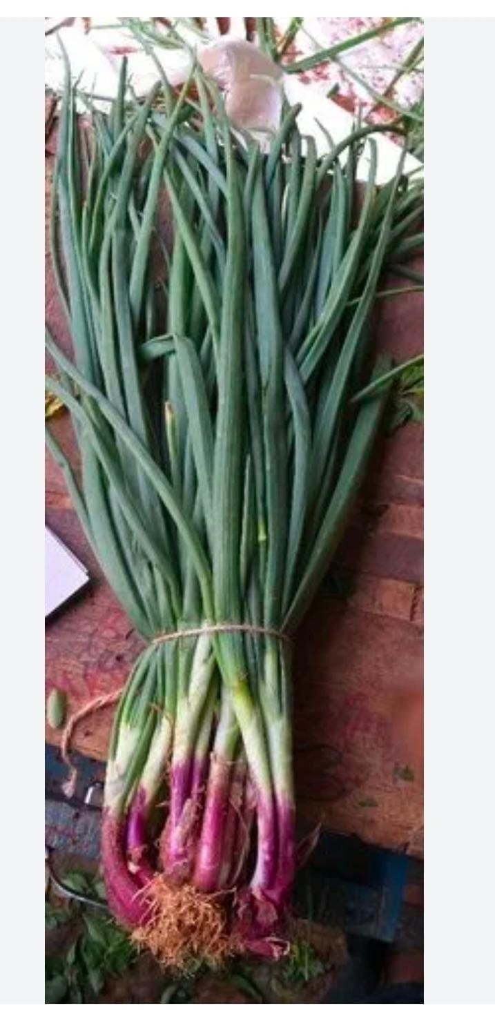 Onion Shak