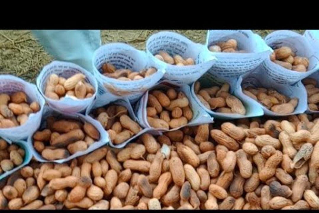 Badam 