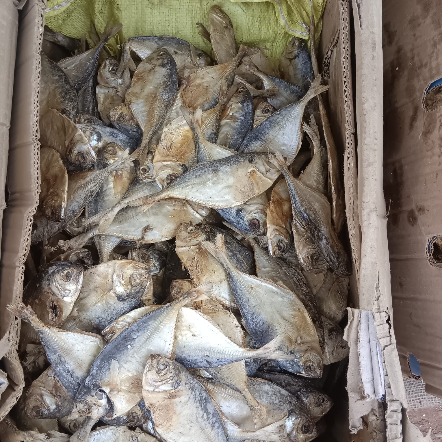 Feroya