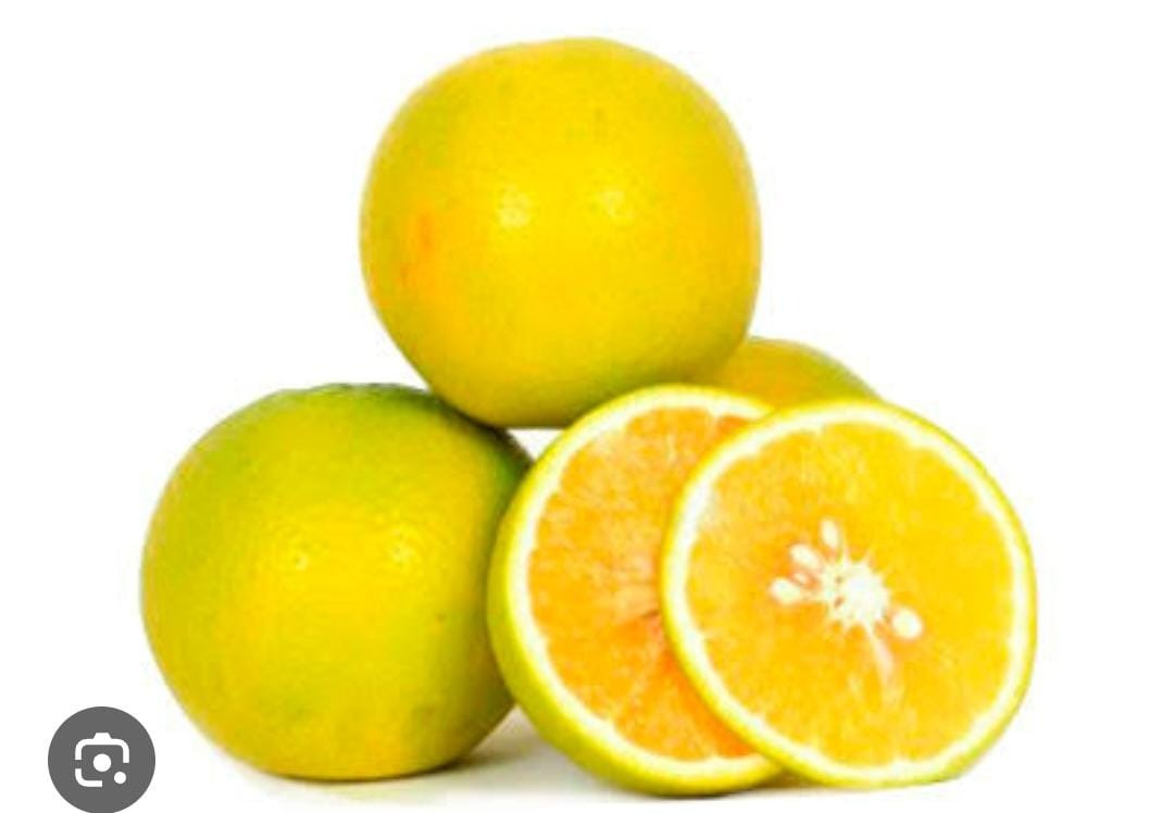 Mosambi