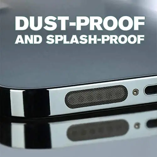 Speaker dust protector