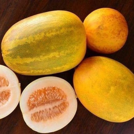 Yellow Cucumber ( దోసకాయ ) 1kg