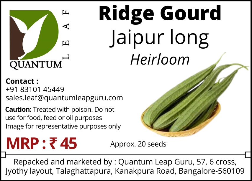 Quantum Leaf Ridge gourd - Jaipur Long, Open pollinated