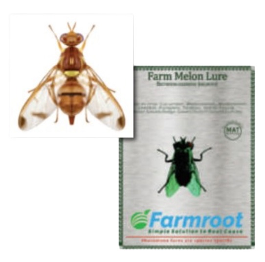 Farmroot Pheromone Lure - Gourds