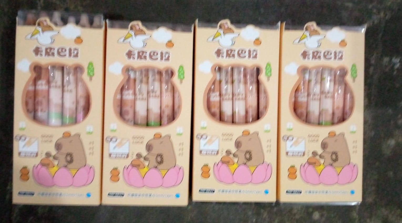 Capybara erasable click pens  pack of 12