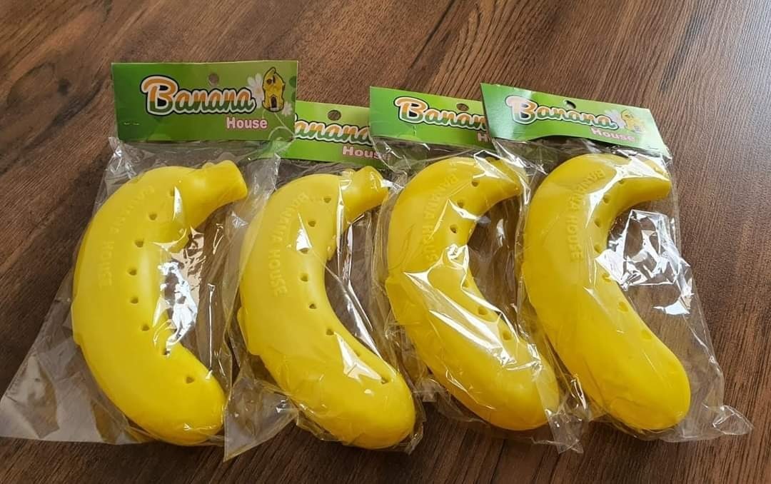 Banana case Box for Fruit Storage. Banana Keeper, Outdoor Travel Case, Banana Protector, Kitchen Gadgets