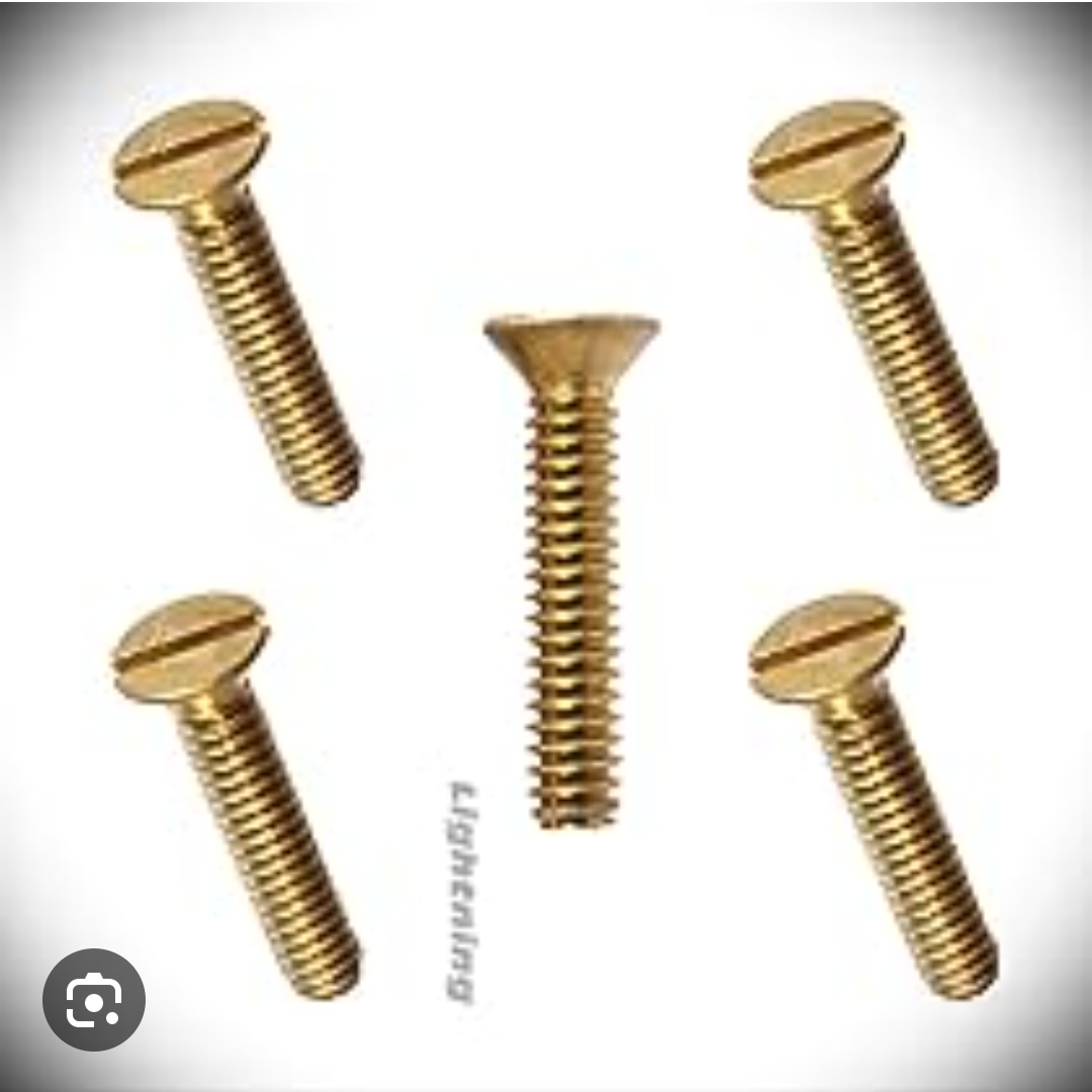 Screw 100pc - 19mm R55