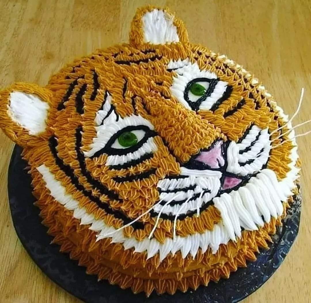 Tiger Cake for my birthday! | Alastair's Adversaria