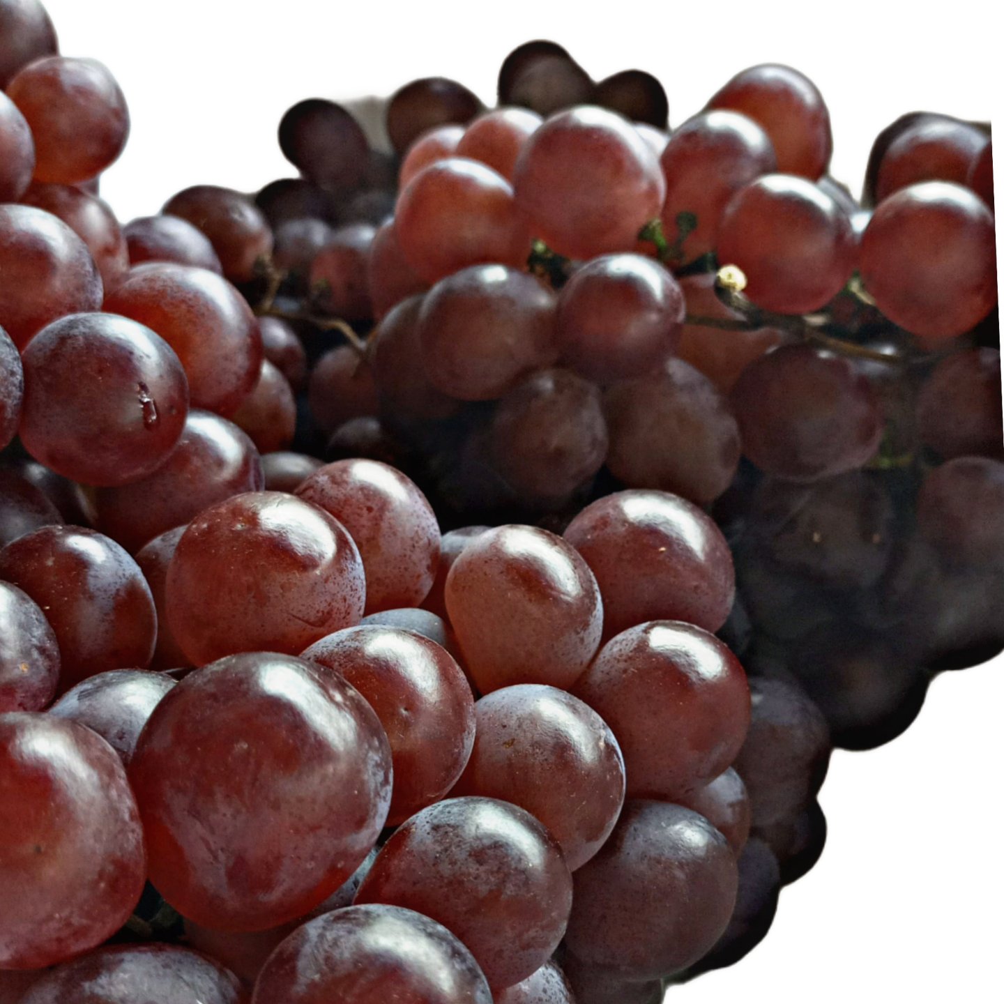 Red Seedless Grapes (Angoor Ghermez Bi Hasteh) - Yekta Persian Market &  Kabob Counter