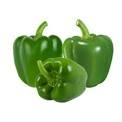 Capsicum Green - 500g