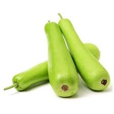 Bottle Gourd - Lauki - 1pcs