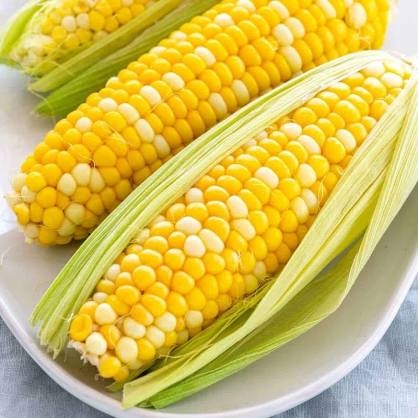 Sweet Corn - 1pcs