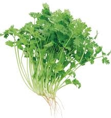 Coriander Leaves/ধনে পাতা - 100g, Fresh