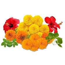 Puja Flower Mix - 1Packs