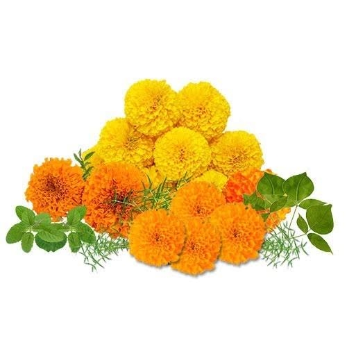 Puja Flower Mix - 1Packs