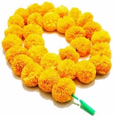 Garland Marigold Flower, Yellow  - 2ft, Yellow