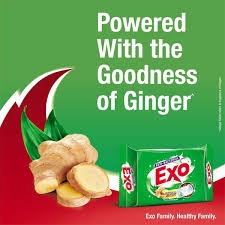 Exo Dishwashing Bar - Anti Bacterial, Ginger Twist - 65g