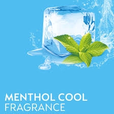 Dettol Disinfectant Liquid Surface & Floor Cleaner- Menthol Cool - 500ml