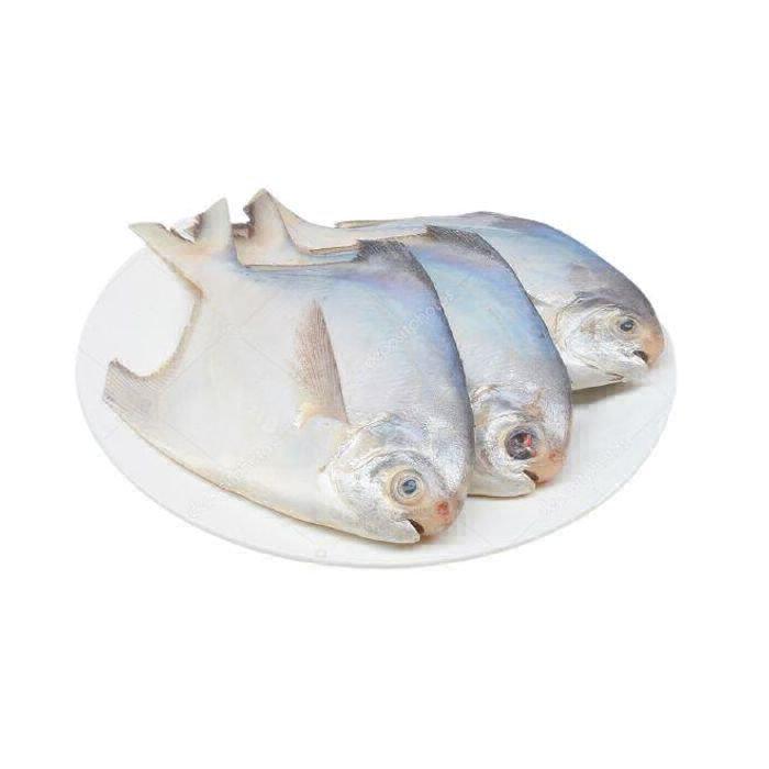 Pomfret Fish - 1kg