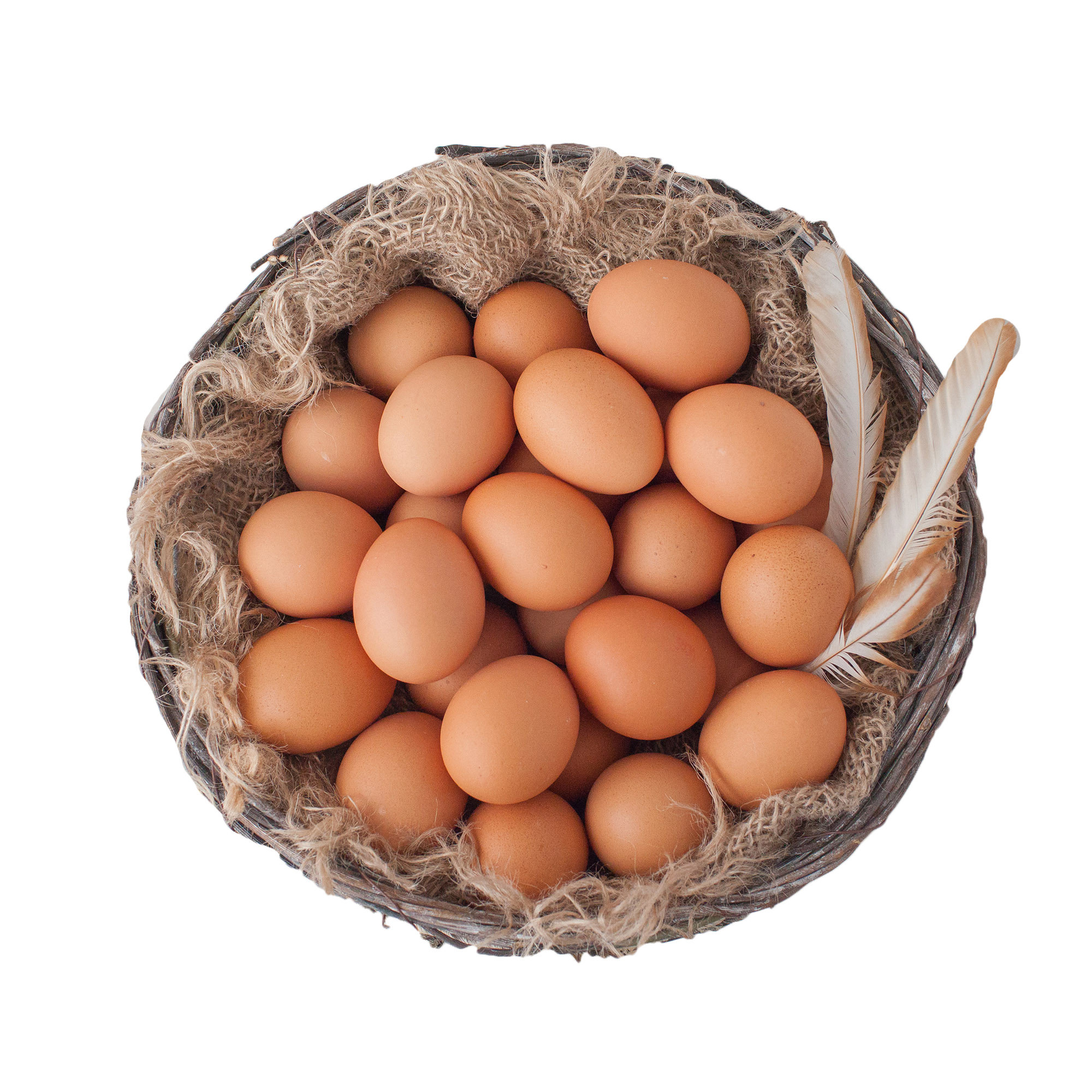 Healthy Brown Egg - 30Pcs