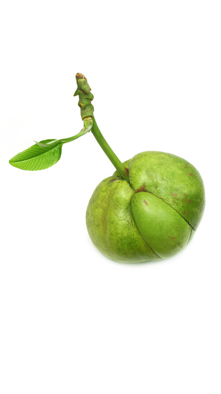 Elephant Apple/চালতা  - 500g