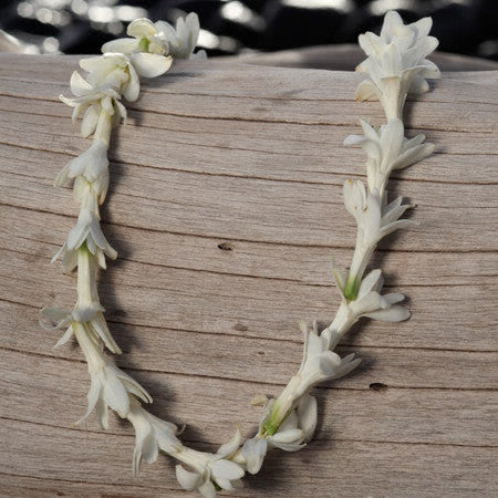 Tuberose Single Chain - 1pcs