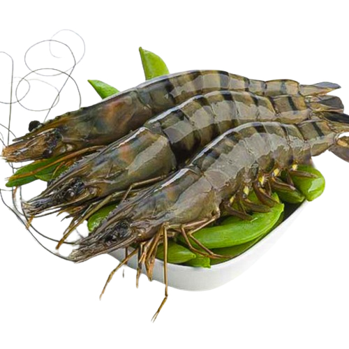 বাগদা চিংড়ি/Bagda Chingri/Tiger Prawn  - 1kg, Medium Size