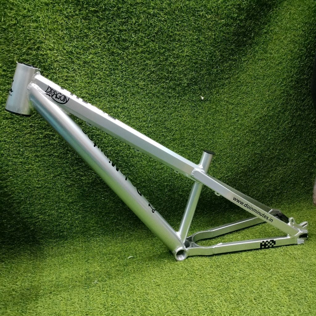 Custom Build MTB Stunt Bike