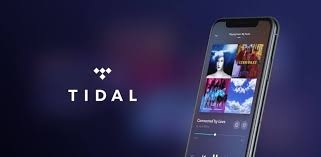 Tidal Premium - 1 Year Full Waranty