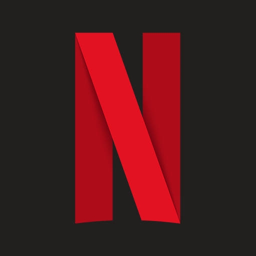 Netflix Private ( 2 Screen 4K) - 3 Months