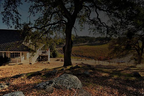 Hobby Vineyards Real Estate