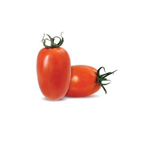 TOMATE RASTEIRO KG