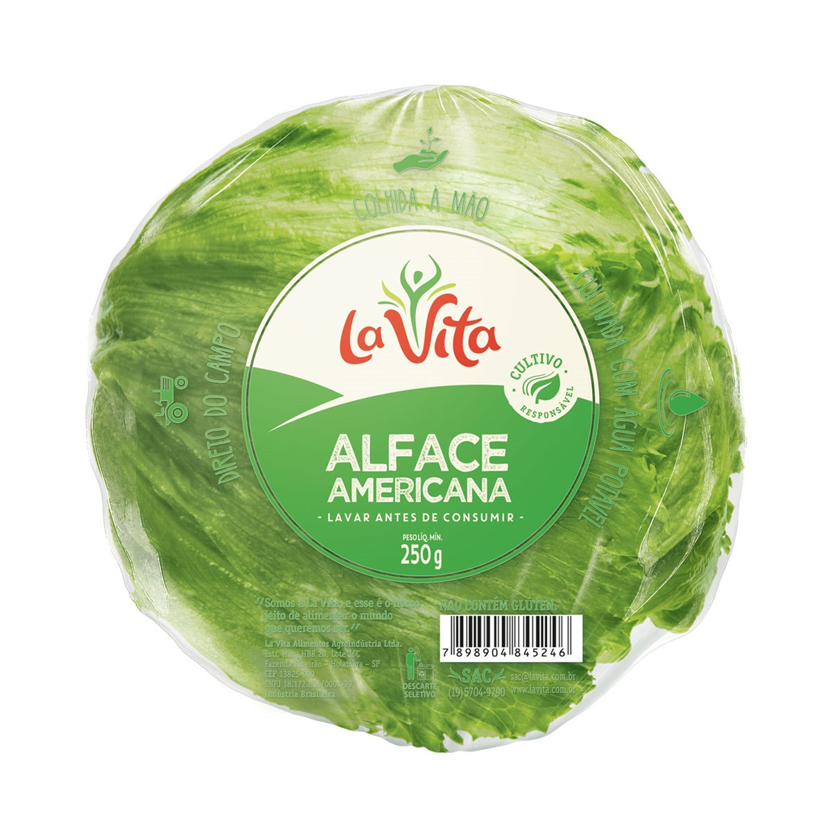 ALFACE AMERICANA LA VITA BOLA 250 G