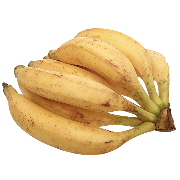 BANANA DA TERRA